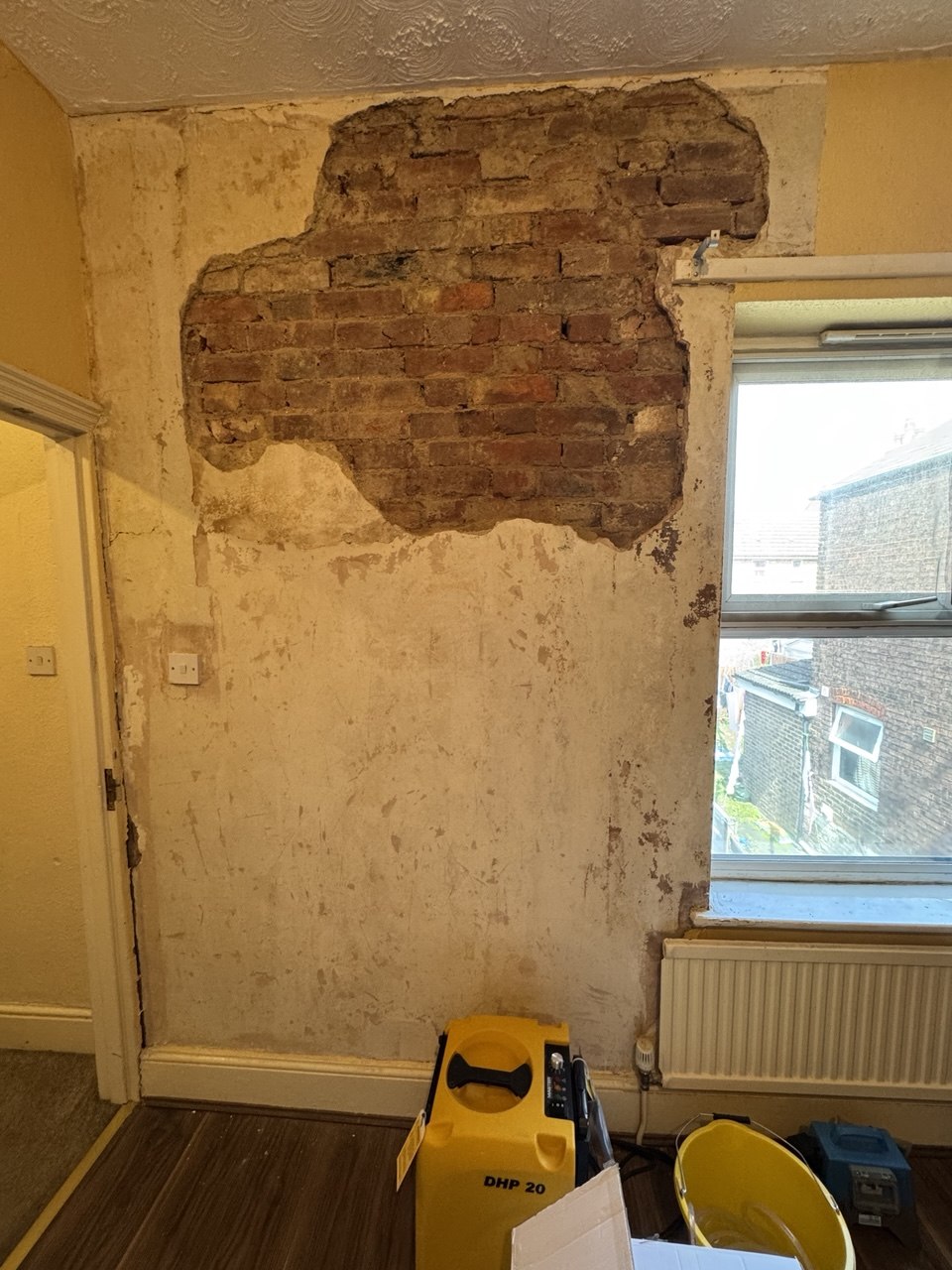 Penetrating damp investigation & remediation